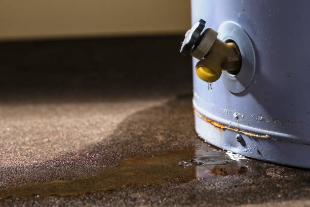 Best Local water damage restoration  in Moa, UT