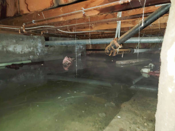 Best Flooded house restoration  in Moa, UT
