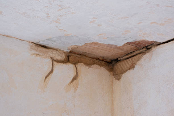 Best Emergency water damage restoration  in Moa, UT