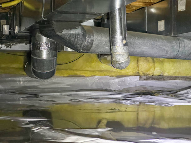 Best Mold removal after water damage  in Moa, UT
