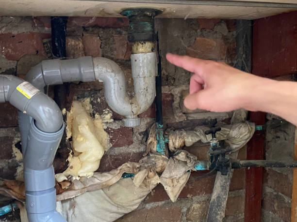 Best Basement water damage restoration  in Moa, UT